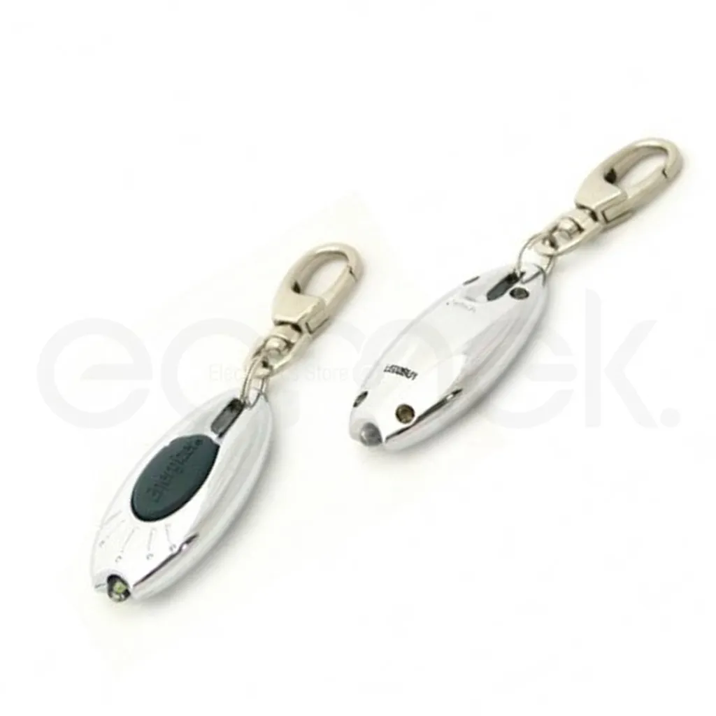 energ_keyring2.webp